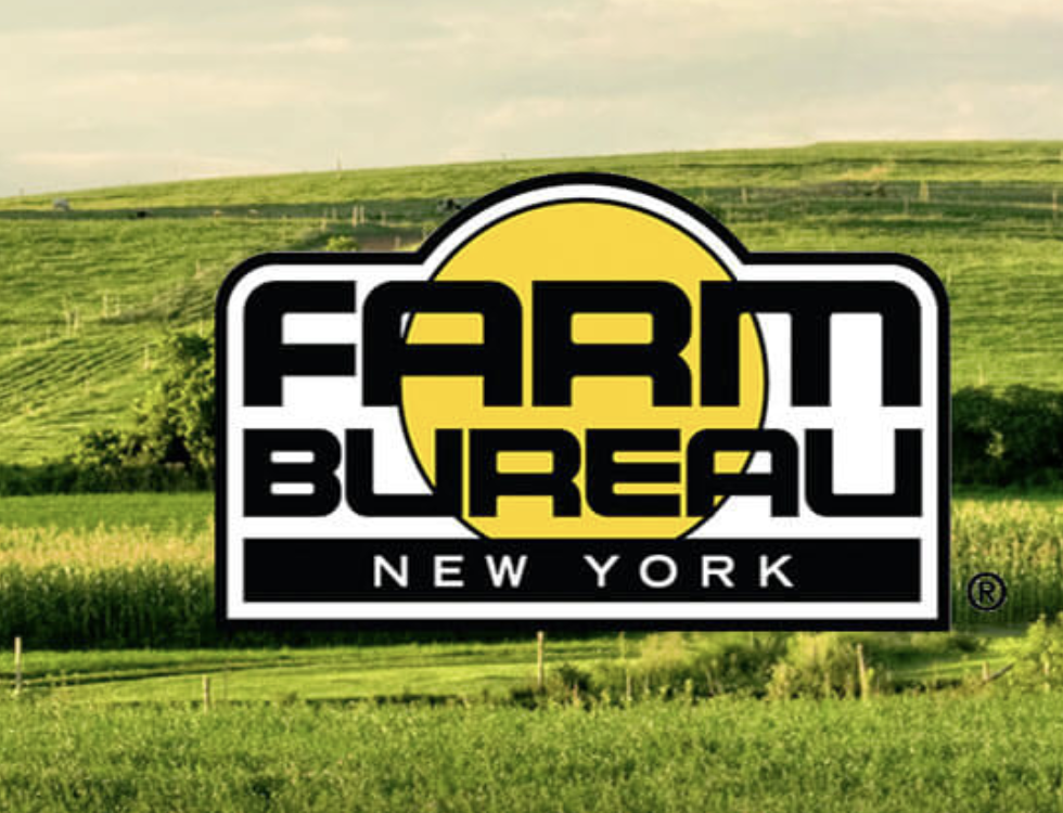 New York Farmers #2 In US Donations